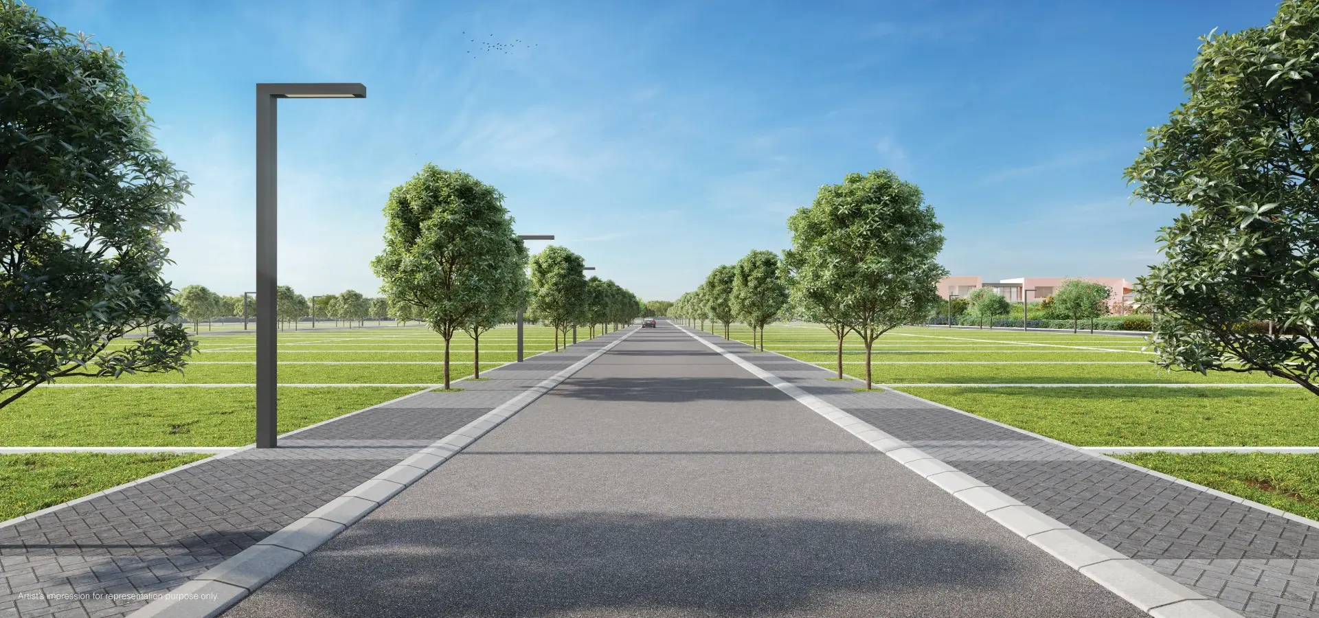 banner_bg